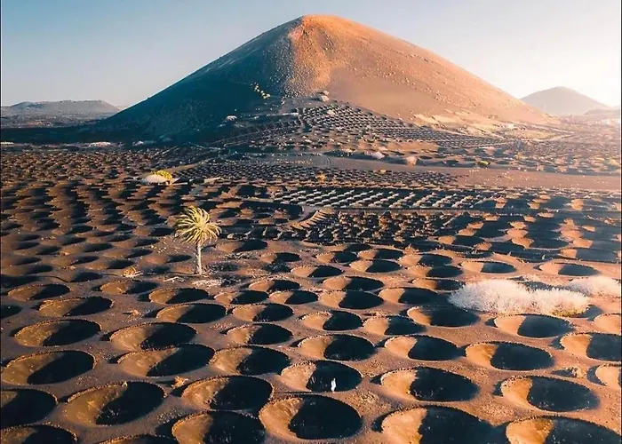 Casa Amarillo Del Sol וילה *